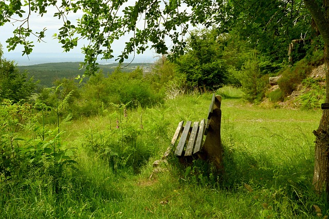 資眼光和精 資眼光和精