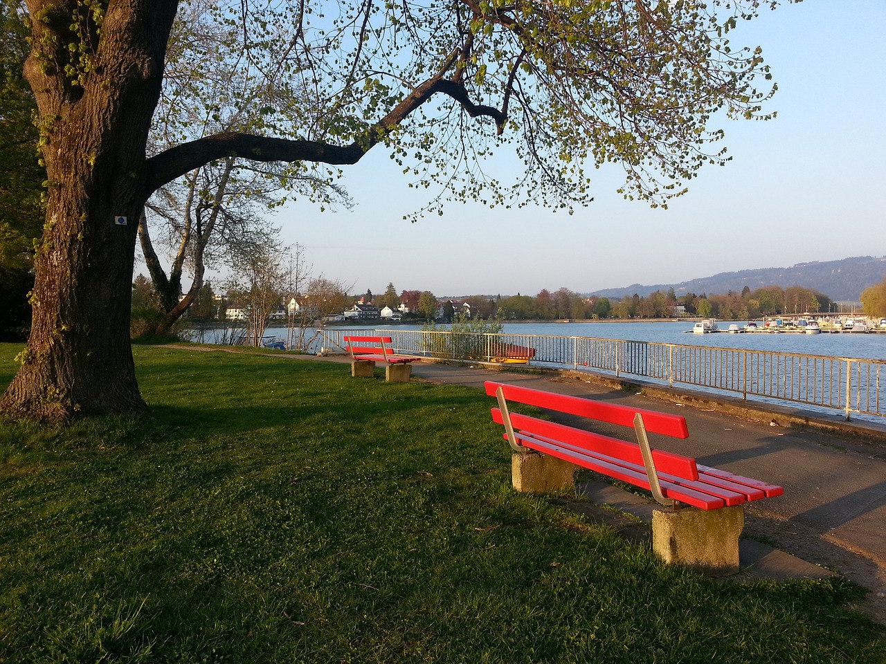 还是比赛中 还是比赛中